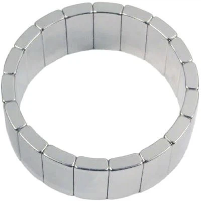 Arc Motor Magnet
